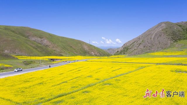 宁夏张国彦，最新探索之旅与自然美景的邂逅，寻找内心平和的旅程