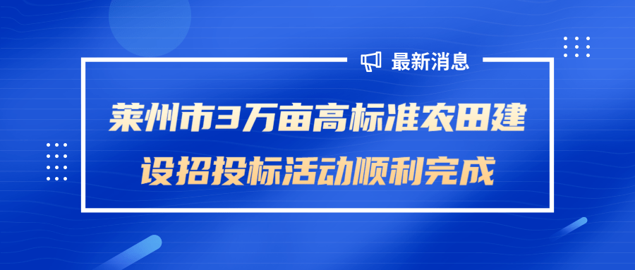 最新招投标办法引领机遇，学习成就自信与辉煌之路