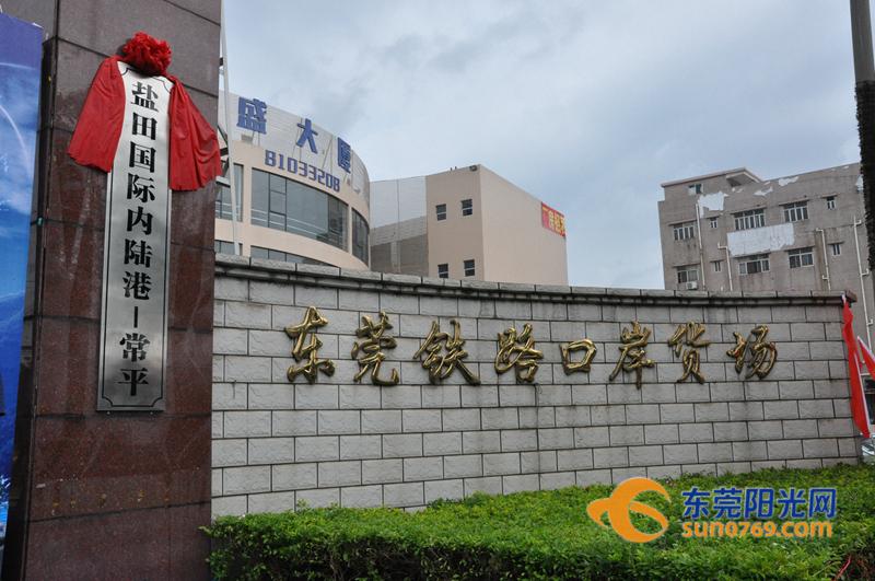盐田港最新动态，港口发展与温馨故事同步前行