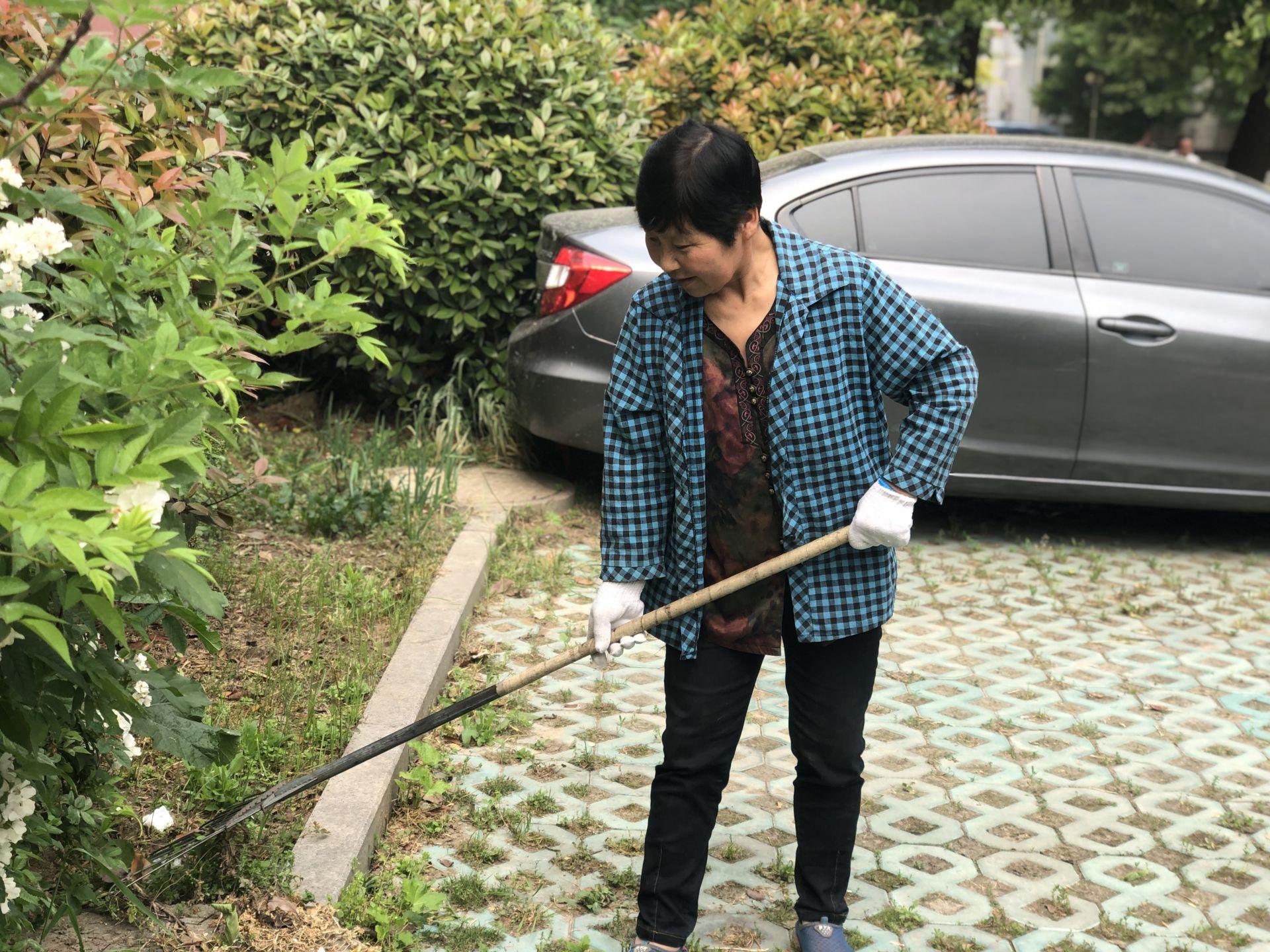 招保洁员最新招聘信息汇总，职位空缺与申请指南