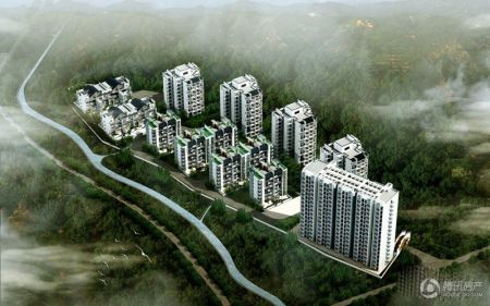 新乡青云林海最新动态更新
