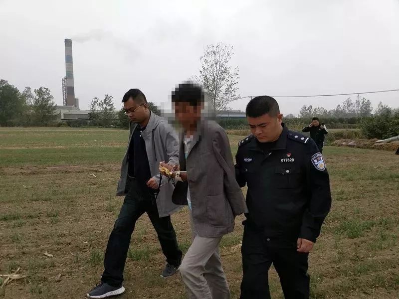 灌云最新命案，深度分析与观点阐述