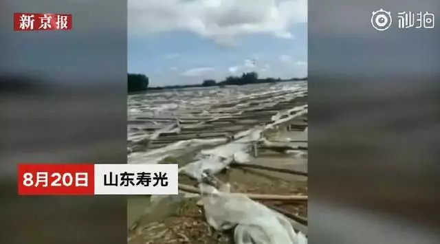 寿光最新灾情报告，最新灾情概述