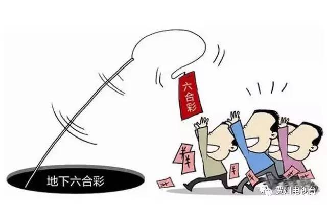 澳门六合资料网站,高速应对逻辑_携带版28.410