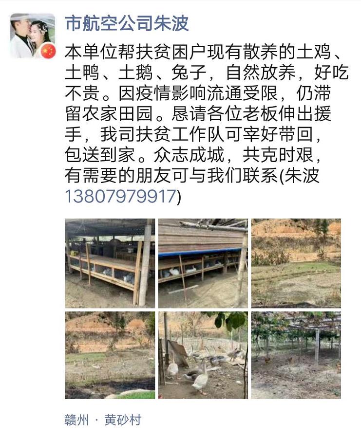 寻乌最新疫情观点阐述与分析报告