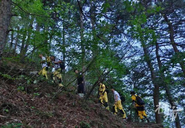 最新采山活动，背景、事件与影响概述