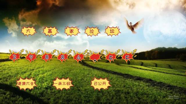 2024澳门天天六开彩开奖结果,案例实证分析_DIY版63.137