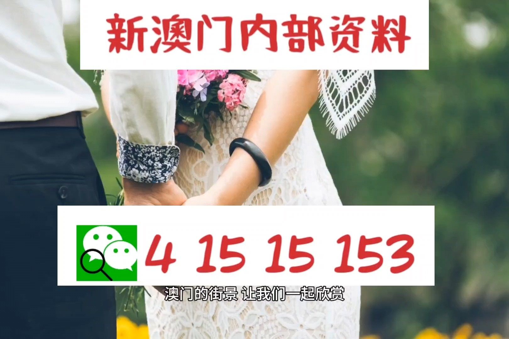 2024澳门精准正版免费,專家解析意見_专业版1.437