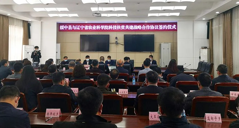 绥中县组织部最新公告，小巷深处的独特风味探秘之旅启动！