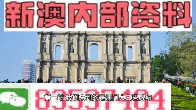 2024年澳门正版免费资料,专业解读操行解决_启动版9.890