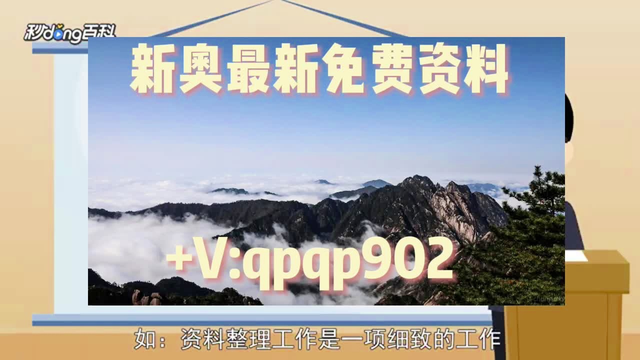 4949免费正版资料大全,实时异文说明法_速达版9.943
