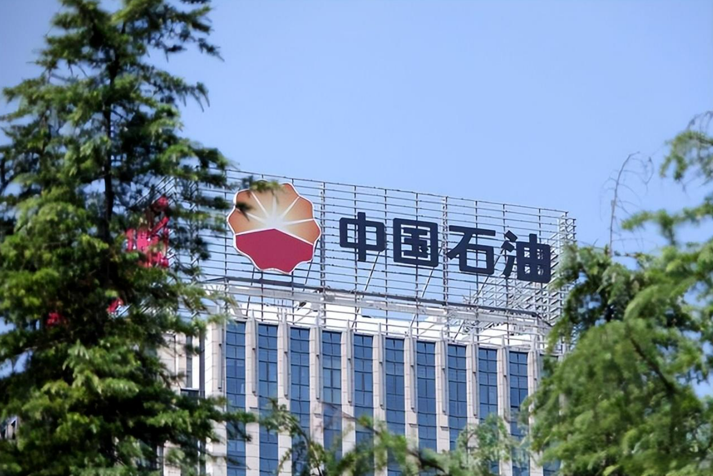 深圳万基集团，变革中的力量与自信成就的最新动态