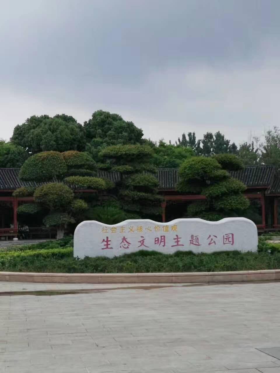 D丁最新流行歌曲视频，启程寻找内心的平静之旅，自然美景的心灵之旅