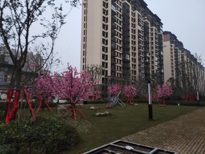 虞城建业城最新动态,学习之光照亮未来,无限可能等你来成就