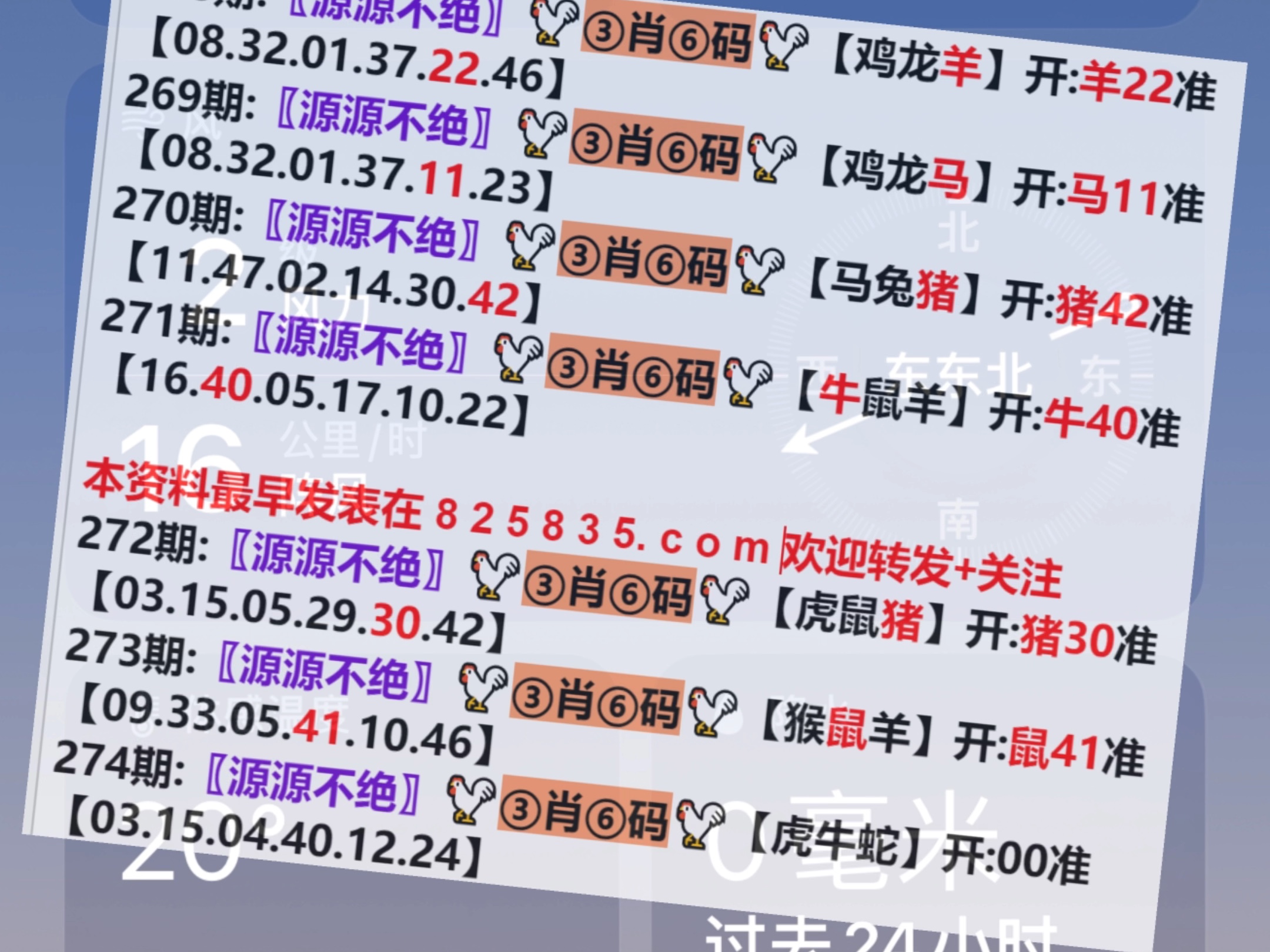 2024今晚新澳门开奖结果,实际调研解析_探索版16.523
