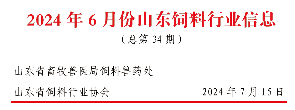 2024澳门六开彩开奖结果,可靠执行操作方式_显示版16.385