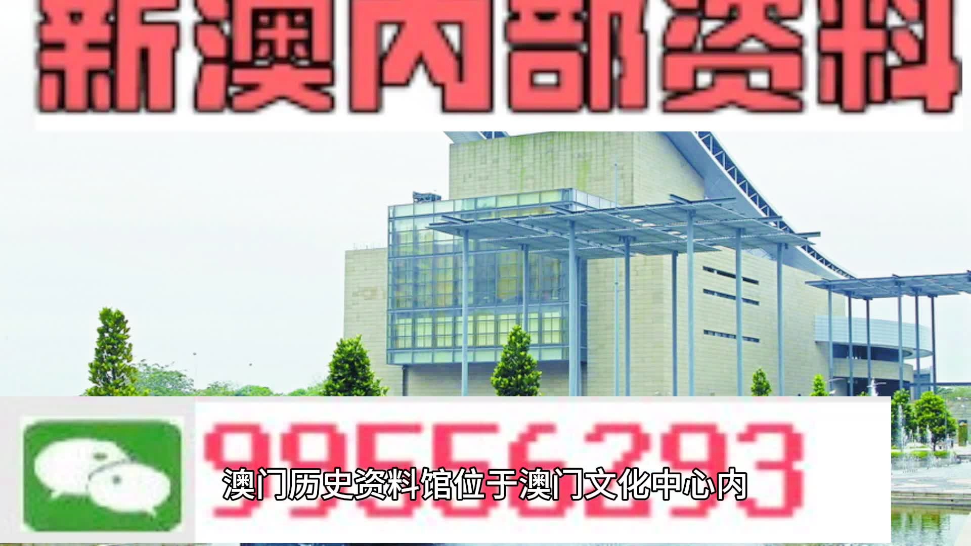 新澳门一肖一码100精准2024,专业解读评估_开放版16.232