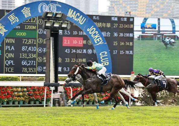澳门特马今天开奖结果,高效计划实施_抓拍版16.657
