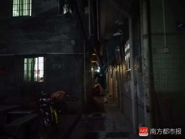 涉黄警告，5X社区在线视频探索小巷深处的风险内容