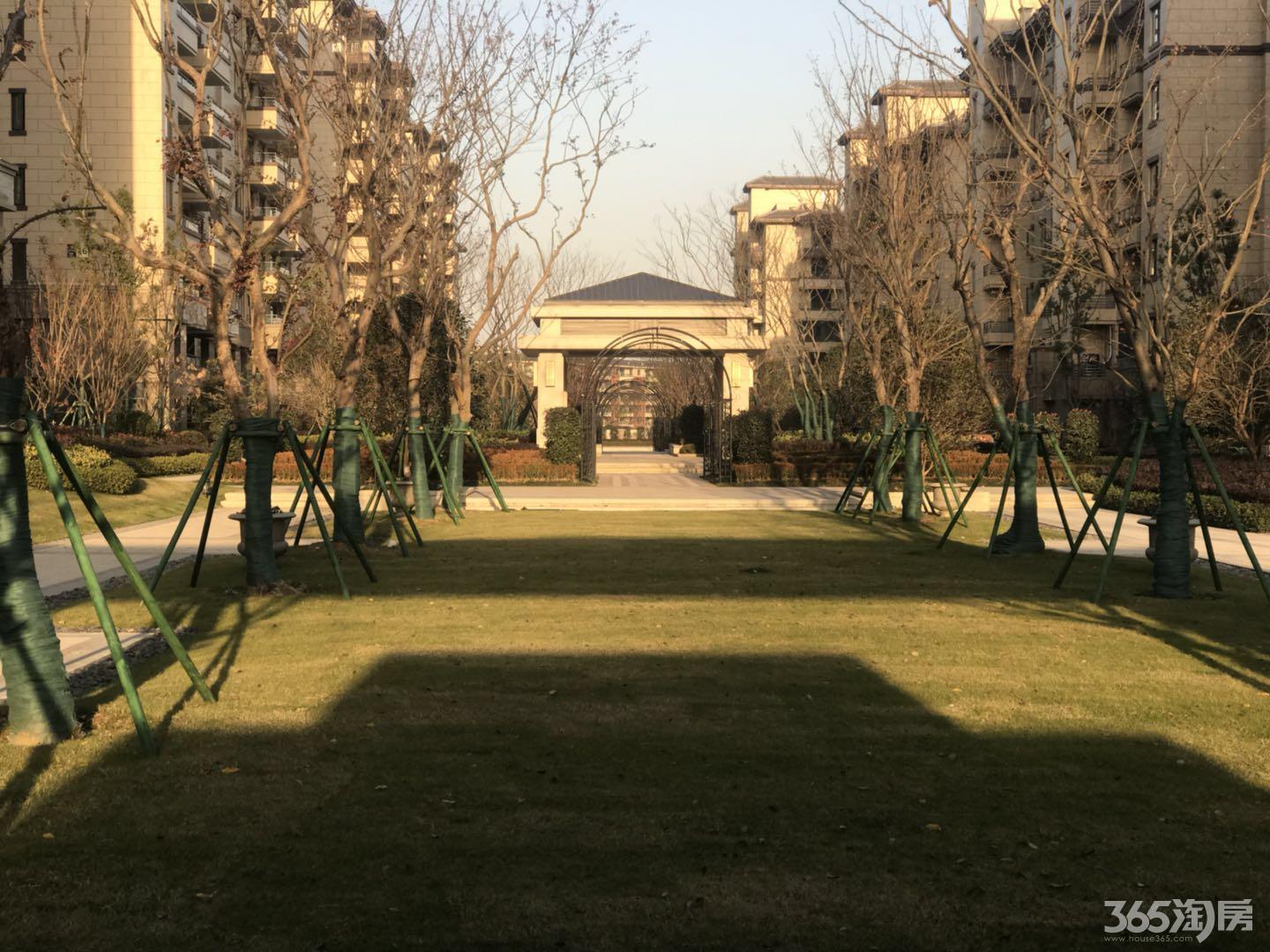南京紫金华府最新动态揭秘，最新消息汇总✨🏠
