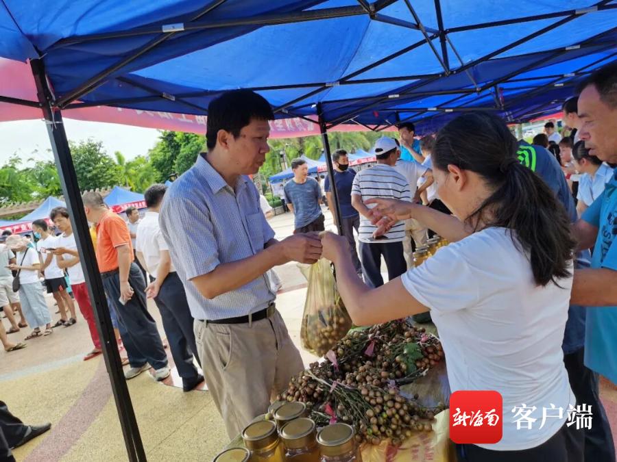 海南省文昌市最新招聘,高效运行支持_月光版23.384