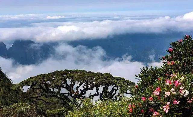 柳擎宇最新章节，自然美景的治愈之旅探索记