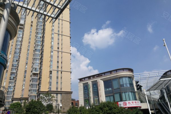 南京涟城最新动态更新📣🌆