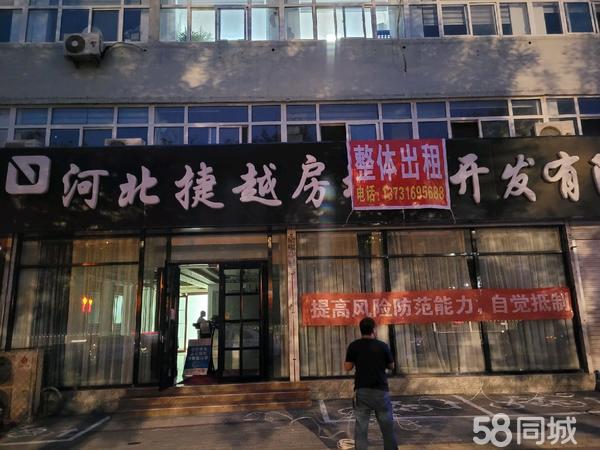 赵县北城花园小巷深处的独特魅力，最新消息与特色小店探秘