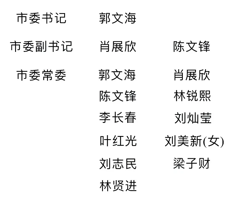 深圳市委常委最新分工及职责概述✨