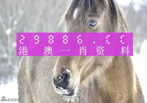 工艺美术品收藏 第143页