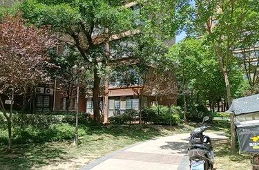 裕塬城市风景最新动态与探索指南